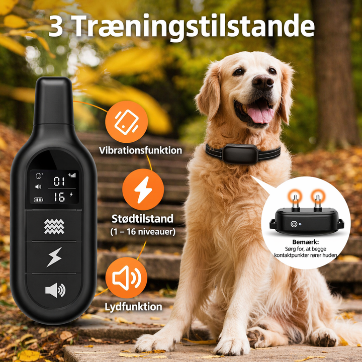 Elektronisk vandtæt hundehalsbånd - Fjernbetjening | Lang rækkevidde