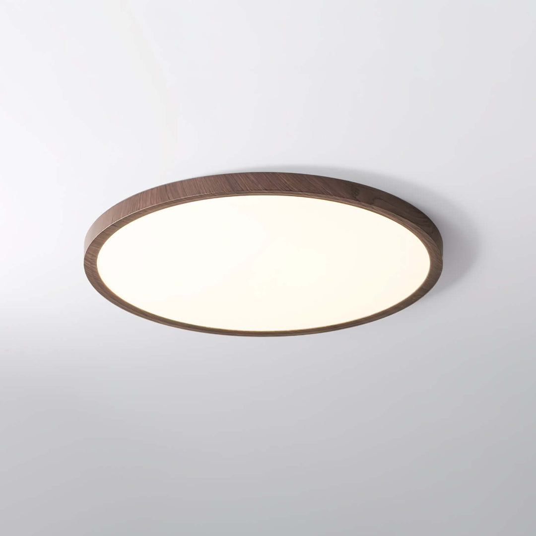 Ultratynd Rund Loftslampe i Akryl med Metalfinish