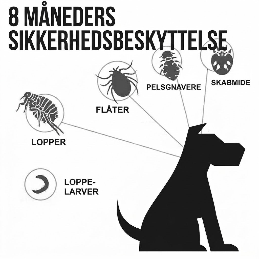 Effektiv Flåtkrave til Katte & Hunde – 8 Måneders Beskyttelse
