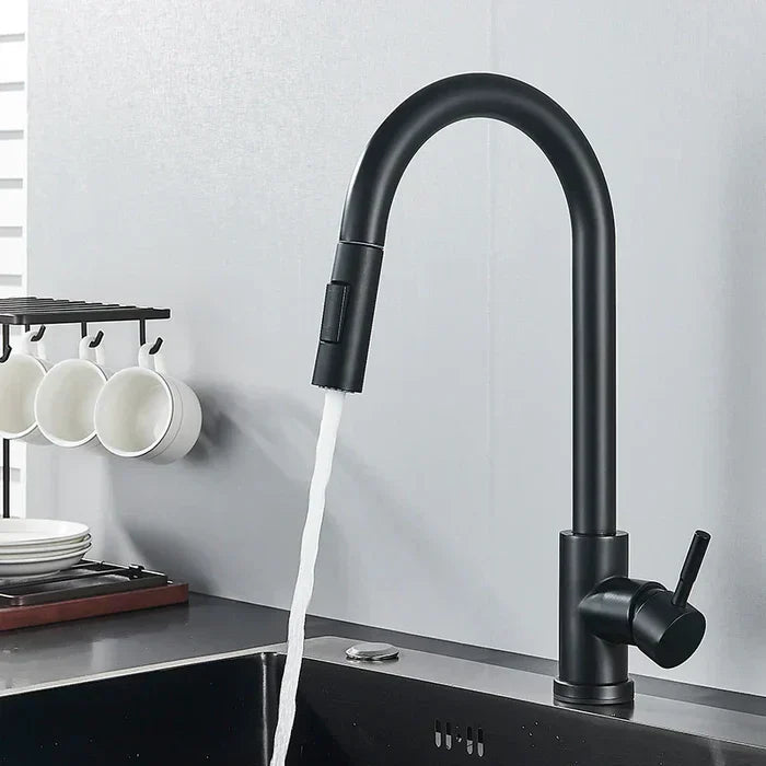 360° vandhane med justerbart håndtag i stilrent design, sølvfinish. Perfekt til fleksibel brug i køkken og badeværelse.