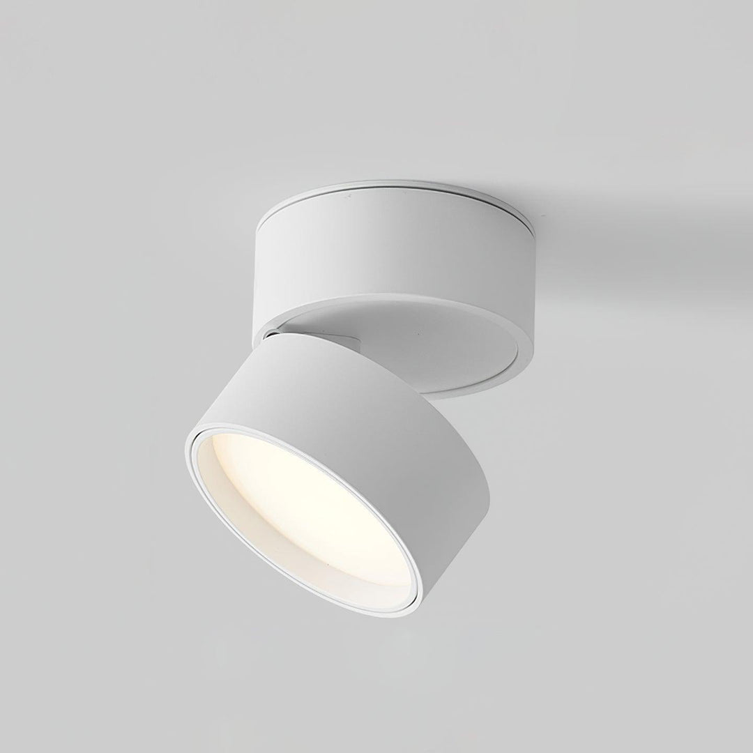 Justerbar Loftslampe i Aluminium - 10cm