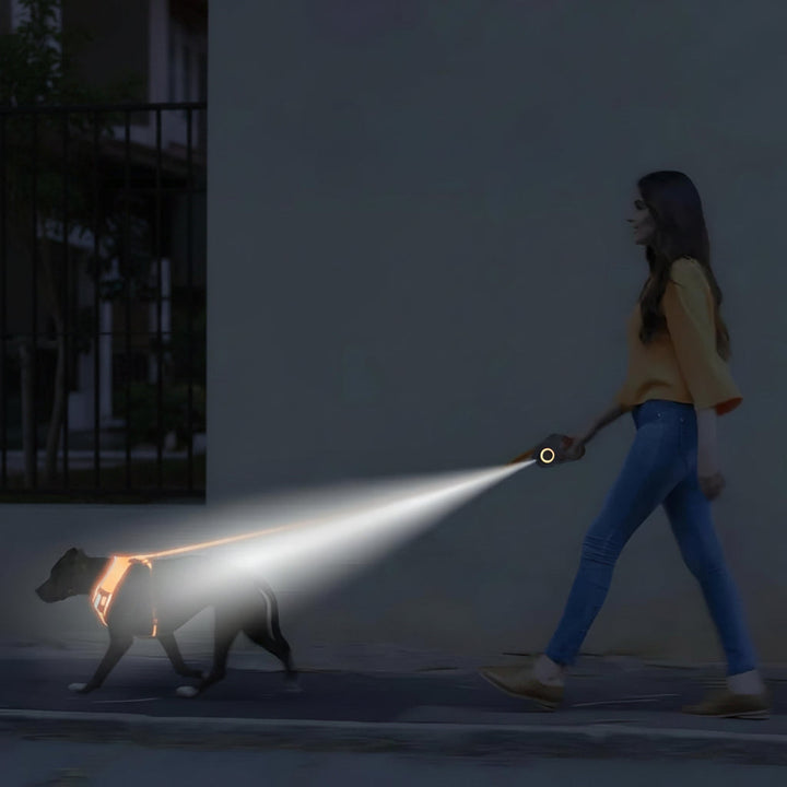 Synlig LED hundesnor med automatisk trækfunktion, tilgængelig i turkis, orange og lilla for sikkerhed om aftenen.