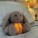 Hare