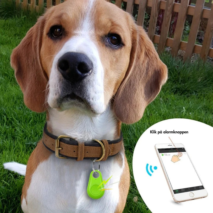 "Diskret GPS-tracker for kæledyr, kompakt design, fås i sort, blå, grøn, rosa, hvid. Ideel til realtidssporing."
