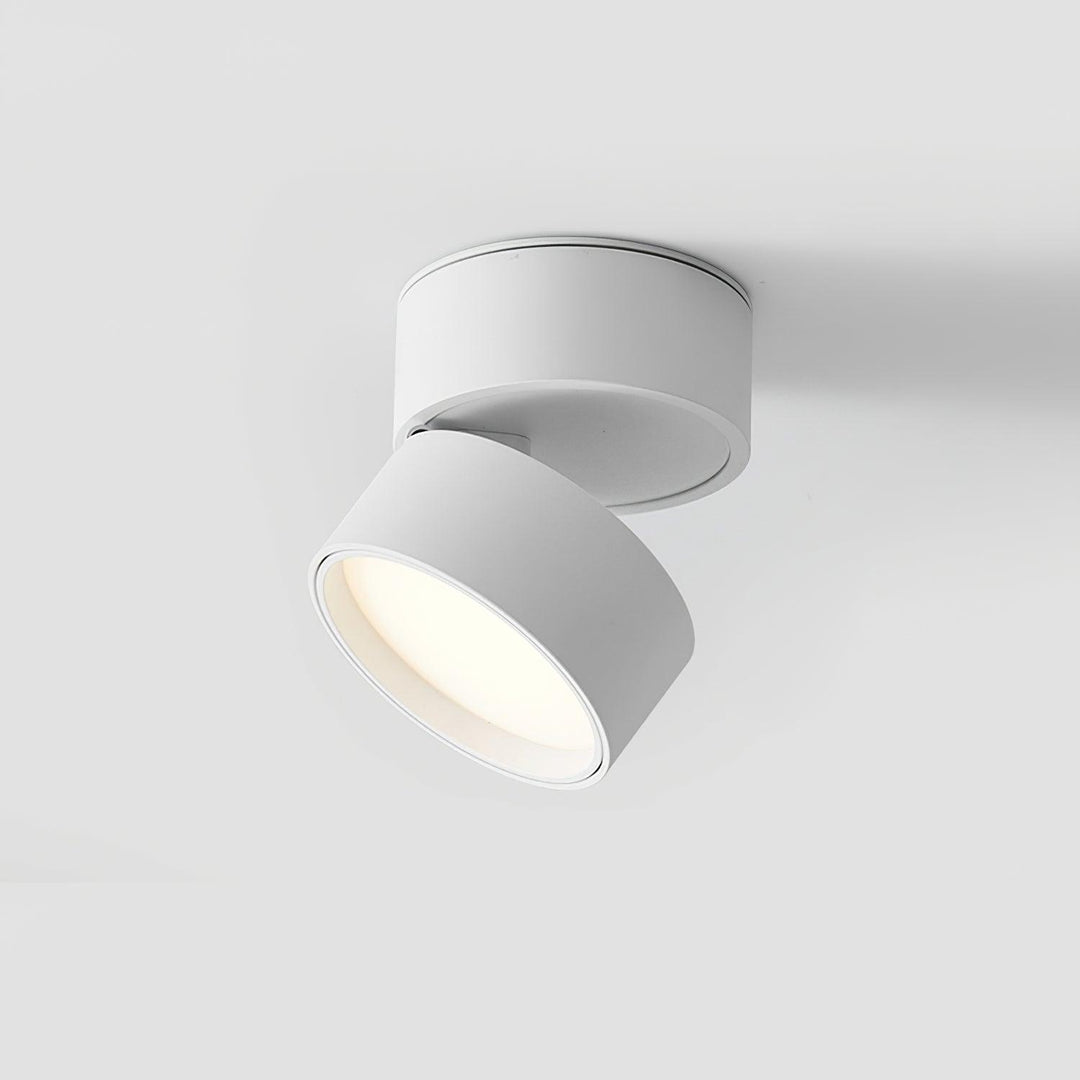 Justerbar Loftslampe i Aluminium - 10cm